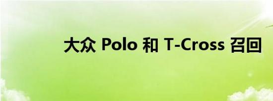 大众 Polo 和 T-Cross 召回