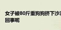 女子被80斤重狗狗挤下沙发大哭 到底是怎么回事呢