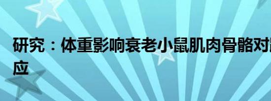 研究：体重影响衰老小鼠肌肉骨骼对跑步的适应