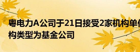 粤电力A公司于21日接受2家机构单位调研机构类型为基金公司