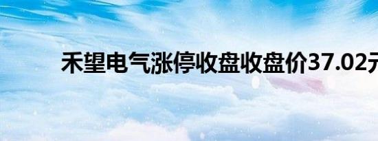 禾望电气涨停收盘收盘价37.02元