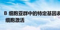 B 细胞亚群中的特定基因表达可抑制抗肿瘤 T 细胞激活