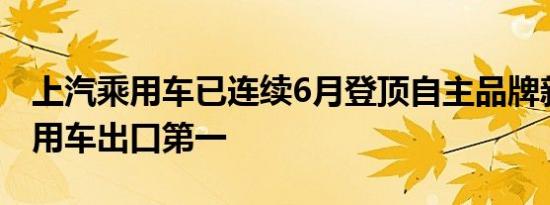 上汽乘用车已连续6月登顶自主品牌新能源乘用车出口第一