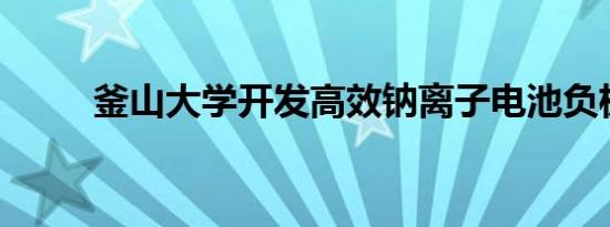 釜山大学开发高效钠离子电池负极