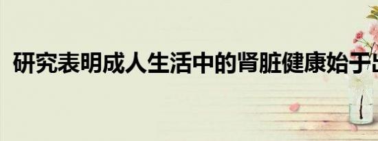 研究表明成人生活中的肾脏健康始于出生前