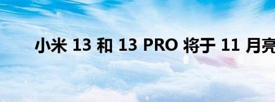 小米 13 和 13 PRO 将于 11 月亮相