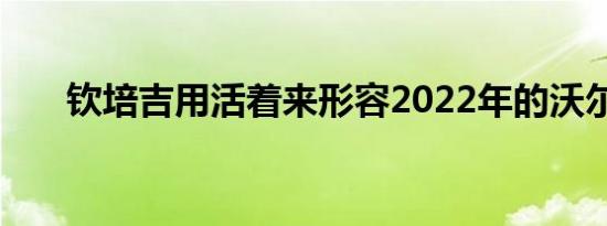 钦培吉用活着来形容2022年的沃尔沃