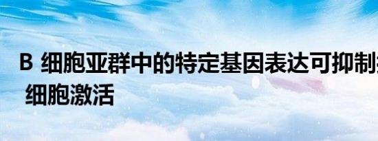 B 细胞亚群中的特定基因表达可抑制抗肿瘤 T 细胞激活