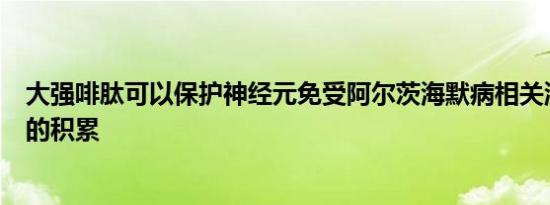 大强啡肽可以保护神经元免受阿尔茨海默病相关淀粉样蛋白的积累