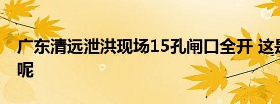 广东清远泄洪现场15孔闸口全开 这是为什么呢