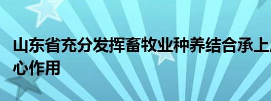 山东省充分发挥畜牧业种养结合承上启下的核心作用