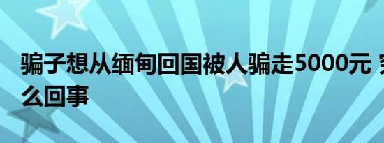 骗子想从缅甸回国被人骗走5000元 究竟是怎么回事