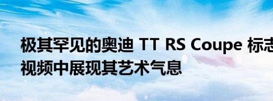 极其罕见的奥迪 TT RS Coupe 标志性版在视频中展现其艺术气息