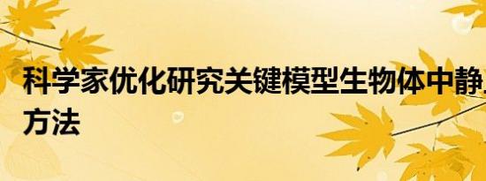 科学家优化研究关键模型生物体中静止大脑的方法