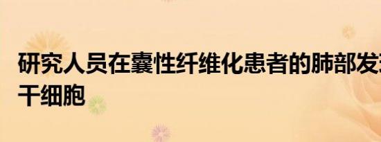 研究人员在囊性纤维化患者的肺部发现了致病干细胞