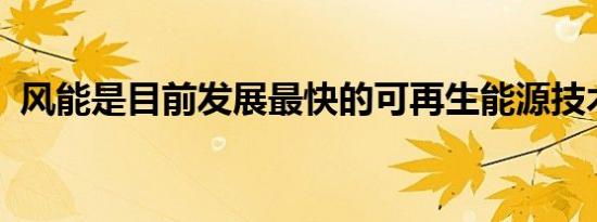 风能是目前发展最快的可再生能源技术之一