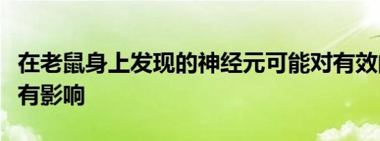 在老鼠身上发现的神经元可能对有效的减肥药有影响