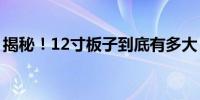 揭秘！12寸板子到底有多大？完整尺寸解析！