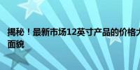 揭秘！最新市场12英寸产品的价格大全，了解屏幕成本真实面貌