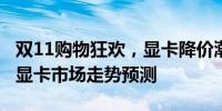 双11购物狂欢，显卡降价潮来袭——2021年显卡市场走势预测