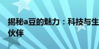 揭秘a豆的魅力：科技与生活完美融合的智能伙伴