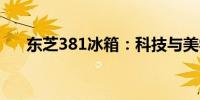 东芝381冰箱：科技与美学的完美结合