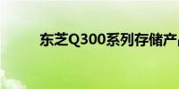 东芝Q300系列存储产品深度解析