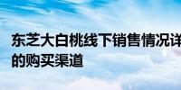 东芝大白桃线下销售情况详解：寻找实体店铺的购买渠道