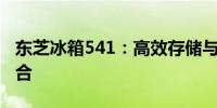 东芝冰箱541：高效存储与先进技术的完美结合