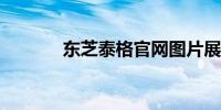 东芝泰格官网图片展示及下载