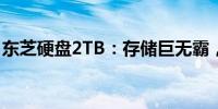 东芝硬盘2TB：存储巨无霸，你的数据守护者