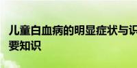 儿童白血病的明显症状与识别：家长必读的重要知识