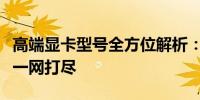 高端显卡型号全方位解析：性能、特点、价格一网打尽