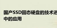 国产SSD固态硬盘的技术进步及其在现代计算中的应用