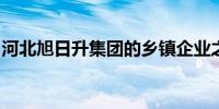 河北旭日升集团的乡镇企业之路：探索与成就