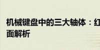 机械键盘中的三大轴体：红轴、茶轴、青轴全面解析